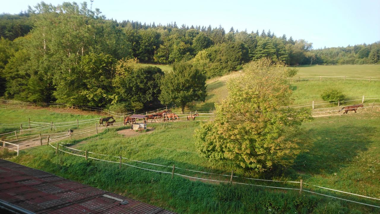 Zrebcin Mlyncok Apartman Zólyomlipcse Kültér fotó